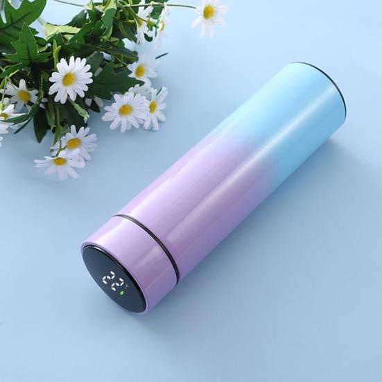 Intelligent Stainless Steel Thermos Bottle Temperature Display Water Bottle Vacuum Flasks Coffee Cup Commemoration Day